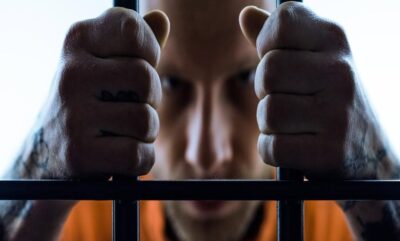 رابطه میان صفات روان پریشی و پرخاشگری جنسی در یافته های جدید علمی