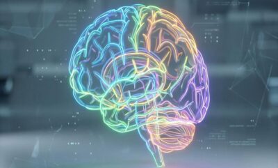 دستاورد جدید دانشمندان در تشخیص اوتیسم با الگوهای مغز و بررسی شدت علائم