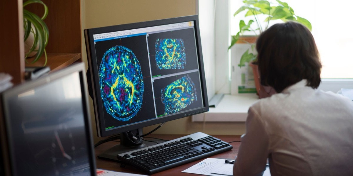 کشف مسیر عصبی جدید و بررسی نقش هیجان در حافظه