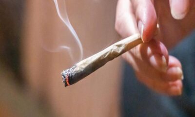 تاثیرات مطالعه جدید بر کاهش الکل با گل در افراد وابسته