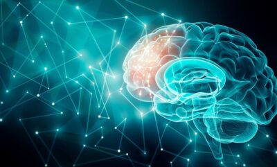 11 مورد از جذاب ترین کشفیات جدید روان و مغز در سال 2025