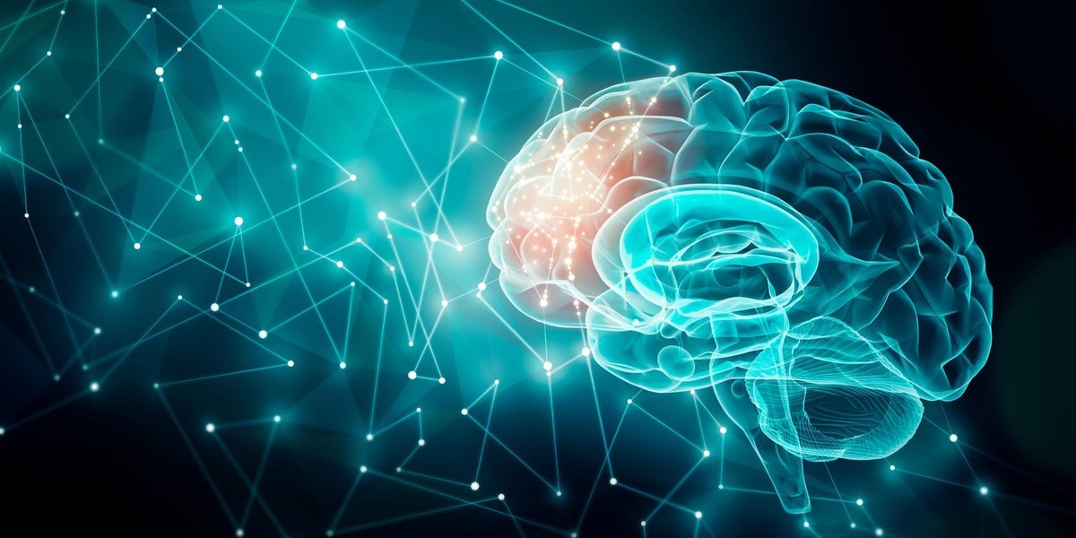 11 مورد از جذاب ترین کشفیات جدید روان و مغز در سال 2025