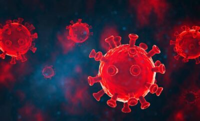 تغییرات مغز پس از بهبودی کرونا حتی در افراد بدون علائم پایداری دیده می شود