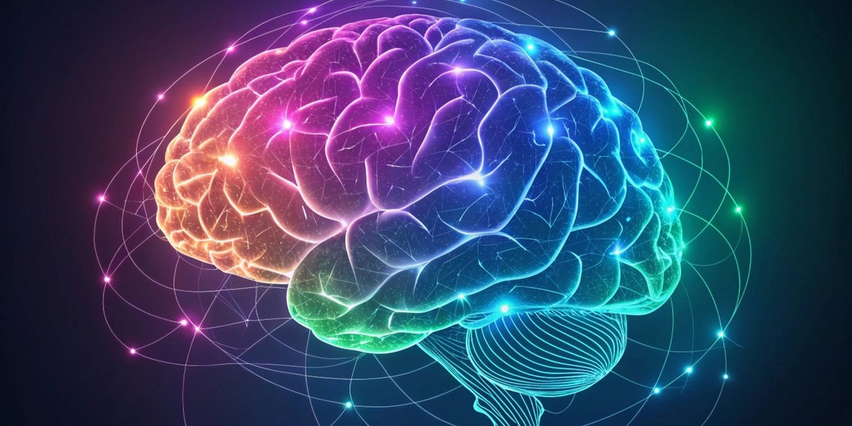 رژیم غذایی و سلامت مغز و نقش آن در کاهش سرعت پیری بیولوژیک