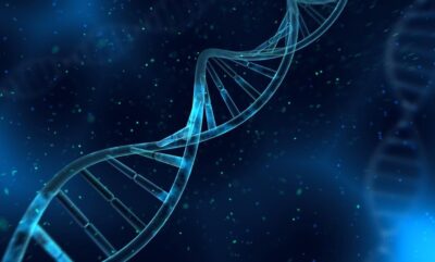 بررسی علمی نقش ژنتیک در تاب آوری و موفقیت در شرایط سخت