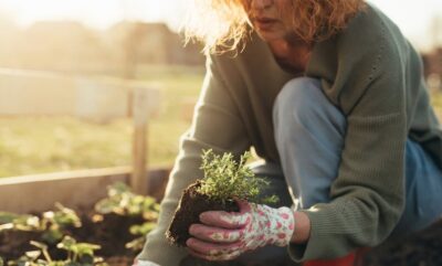 بررسی فواید باغبانی بر سلامت و کاهش اضطراب و محدودیت های جسمی