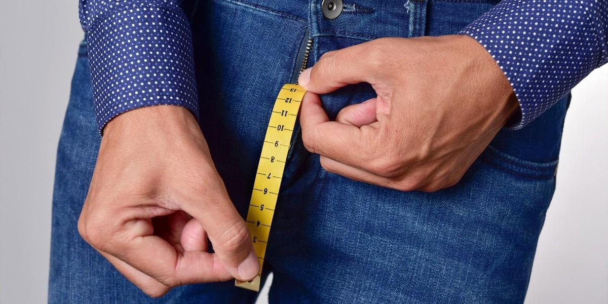 اهمیت اندازه آلت مردان و جذابیت در تکامل و رقابت اجتماعی