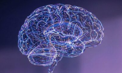 تحقیقات جدید درباره هوش و اتصالات مغزی و رد نظریه کارایی کل مغز