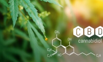 پیشگیری آلزایمر با کانابیدیول و بررسی نتایج آخرین تحقیقات علمی