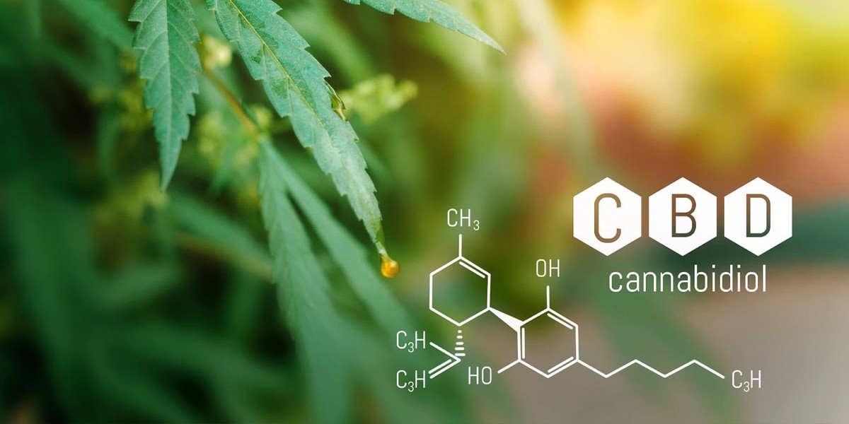 پیشگیری آلزایمر با کانابیدیول و بررسی نتایج آخرین تحقیقات علمی