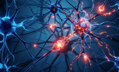 تاثیر خوراکی های صنعتی و ضعف حافظه سالمندان در کمتر از سه روز