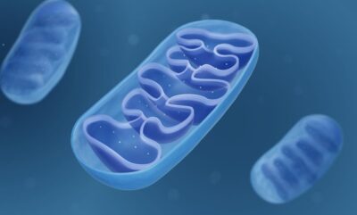 پیشرفت جدید در درمان آسیب عصبی با بازسازی انتقال انرژی سلولی