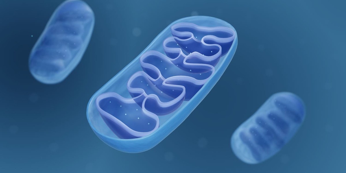 پیشرفت جدید در درمان آسیب عصبی با بازسازی انتقال انرژی سلولی