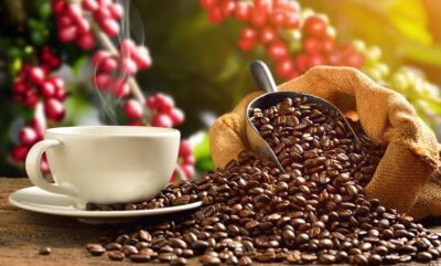 کشف کاربرد جدید علمی؛ قهوه جایگزین بی خطر برای مواد سمی در میکروسکوپ