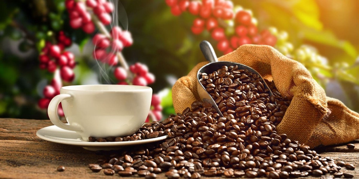 کشف کاربرد جدید علمی؛ قهوه جایگزین بی خطر برای مواد سمی در میکروسکوپ