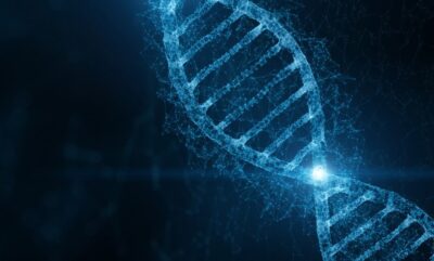 بررسی علمی رابطه بین ژنتیک افسردگی و مشکلات مالی در زندگی