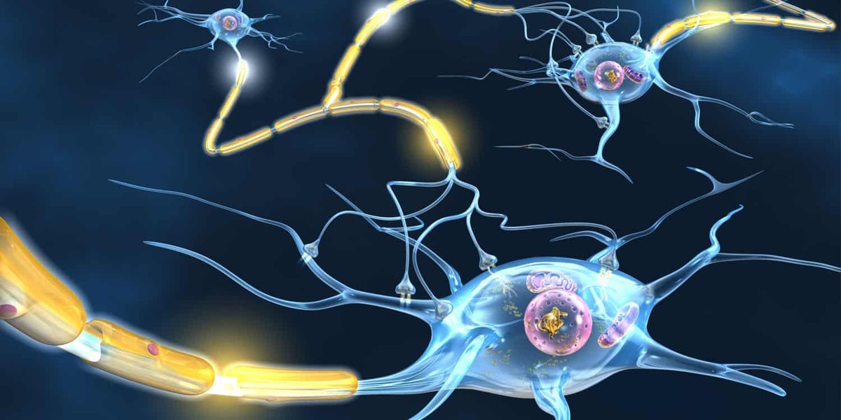 تحلیل واکنش متفاوت مغز به شیرین کننده مصنوعی و قند