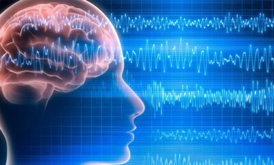 چرا خودشیفته ها و نادیده گرفتن خطا با واکنش های مغزی در ارتباط است؟