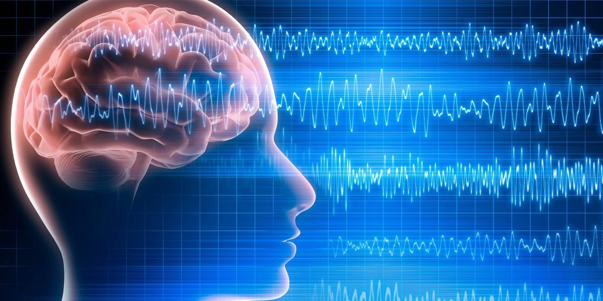 چرا خودشیفته ها و نادیده گرفتن خطا با واکنش های مغزی در ارتباط است؟