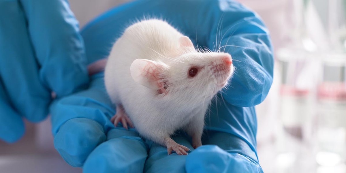 یافته های جدید درباره پیشگیری اضطراب نوجوانی با کتامین و افزایش تاب آوری