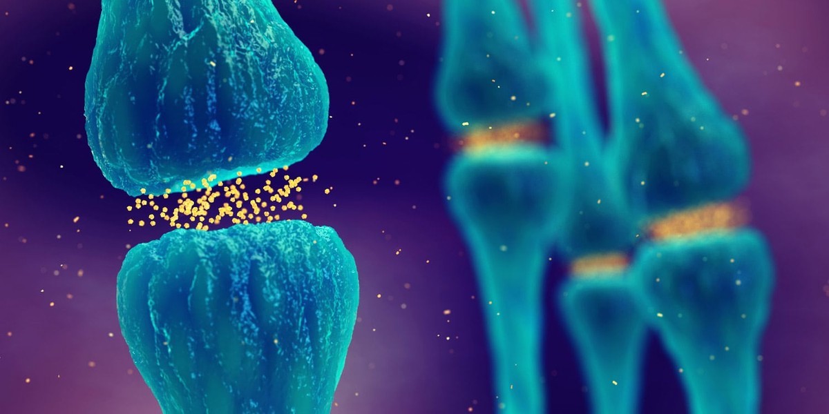 نقش تعامل دوپامین و انسولین در مغز برای کنترل هوس غذایی