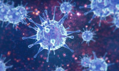 ارتباط ویروس عامل ای ال اس با تخریب عصبی در مدل های جدید حیوانی