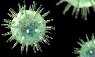 کشف شواهد جدید درباره علت ام اس و ویروس ابشتین بار در مایع نخاعی