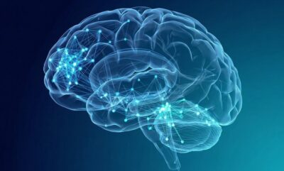 الکل و ارتباطات مغزی و تأثیر آن بر اختلال در شبکه های عصبی