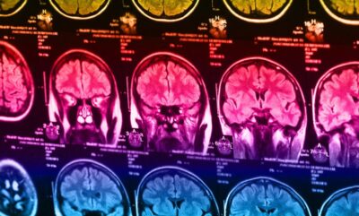 یافته های جدید علوم اعصاب درباره عملکرد مغز و ارتباط موثر