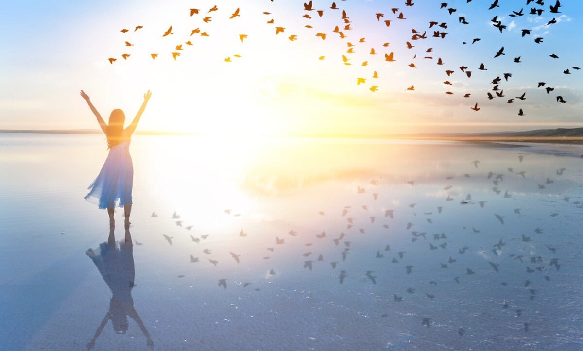 شکرگزاری چیست؟ راهنمای حل مشکلات رابطه با شکرگزاری و بهبود صمیمیت