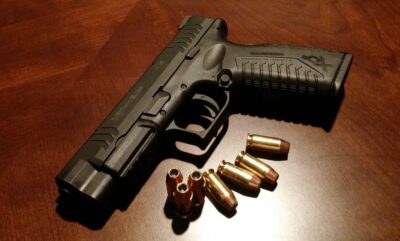 پژوهش جدید درباره عدم تاثیر سیاست بر اسلحه و افکار عمومی