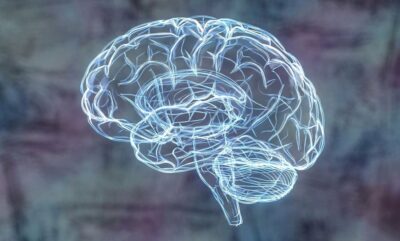 یافته های علمی جدید درباره تاثیر تروما کودکی بر مغز در بیماران