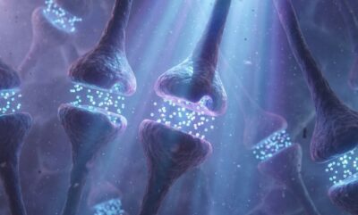 اهمیت زمان در یادگیری و یافته های جدید علوم اعصاب درباره عملکرد مغز