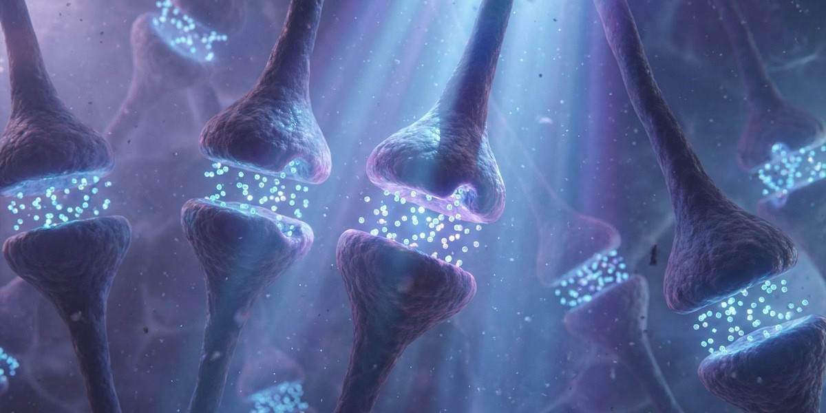 اهمیت زمان در یادگیری و یافته های جدید علوم اعصاب درباره عملکرد مغز