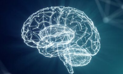 نقش تغذیه در پیشگیری زوال عقل با روغن گیاهی و سلامت مغز