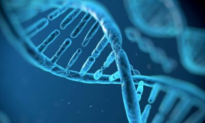 بررسی ریشه زیستی سیخ شدن مو در واکنش به موسیقی و هنر