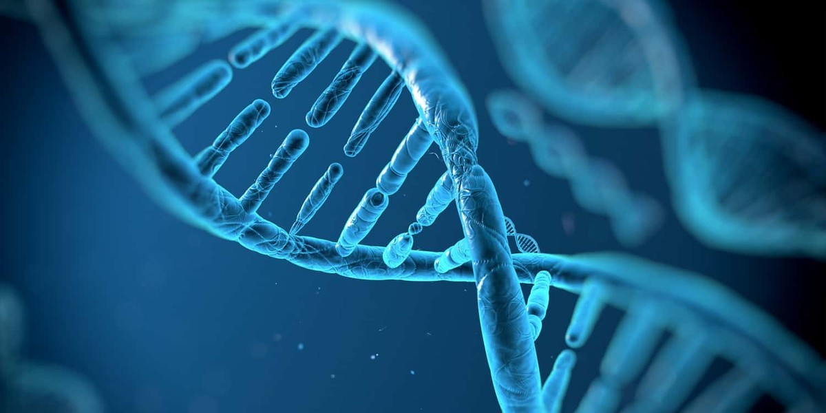 بررسی ریشه زیستی سیخ شدن مو در واکنش به موسیقی و هنر