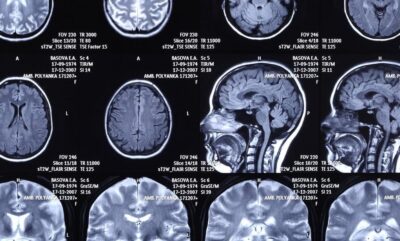 تفاوت مغز دموکرات و جمهوری خواه در انتخاب و خرید مواد غذایی