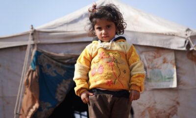 بررسی علمی تأثیر نژاد و همدلی بر پناهندگان در آمریکا