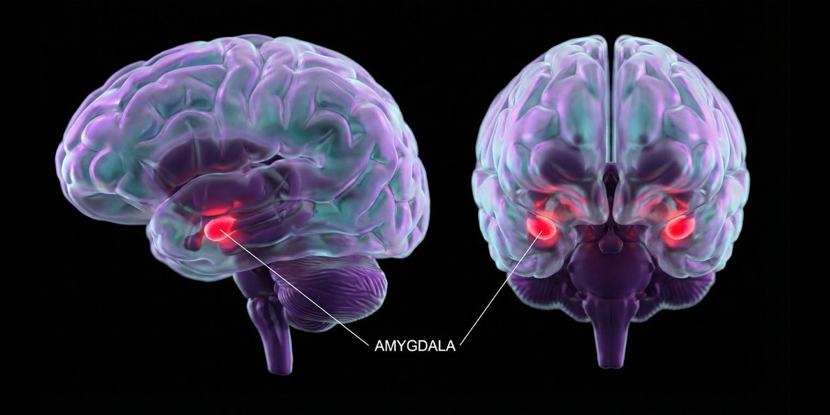 بررسی رابطه بین استفاده بیش از حد از گوشی و کنترل احساسات در مغز