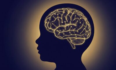 بررسی رابطه مشکلات مالی والدین و رشد مغز نوزاد در تحقیقات جدید