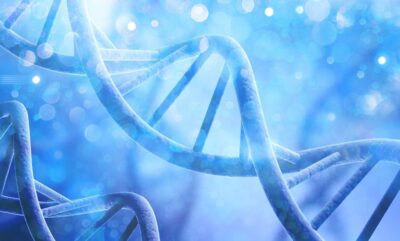 نقش ژن در تصمیمات زندگی و ارتباط آن با تحصیلات و سن فرزندآوری