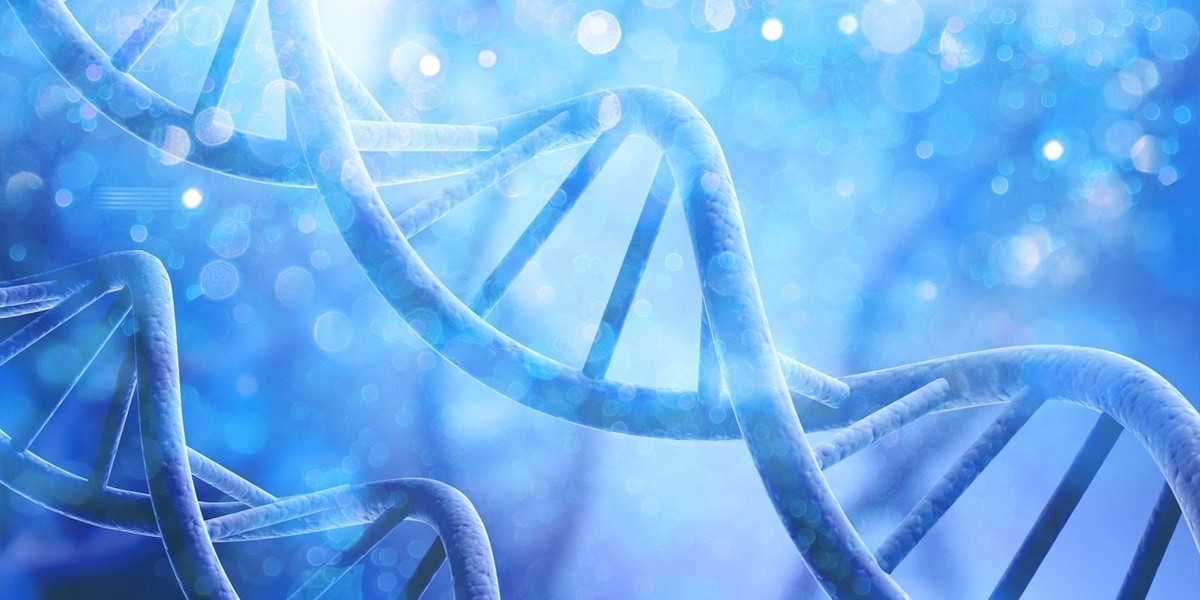 نقش ژن در تصمیمات زندگی و ارتباط آن با تحصیلات و سن فرزندآوری