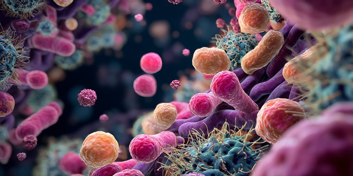 کشف مسیرهای بیولوژیکی جدید در ارتباط روده و مغز و تأثیر تروما بر درد مزمن