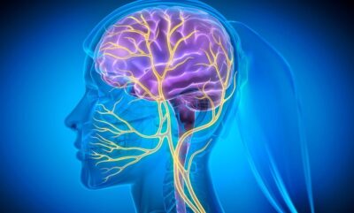 تحریک عصب واگ و آلزایمر؛ روشی نوین برای محافظت از مغز و حافظه