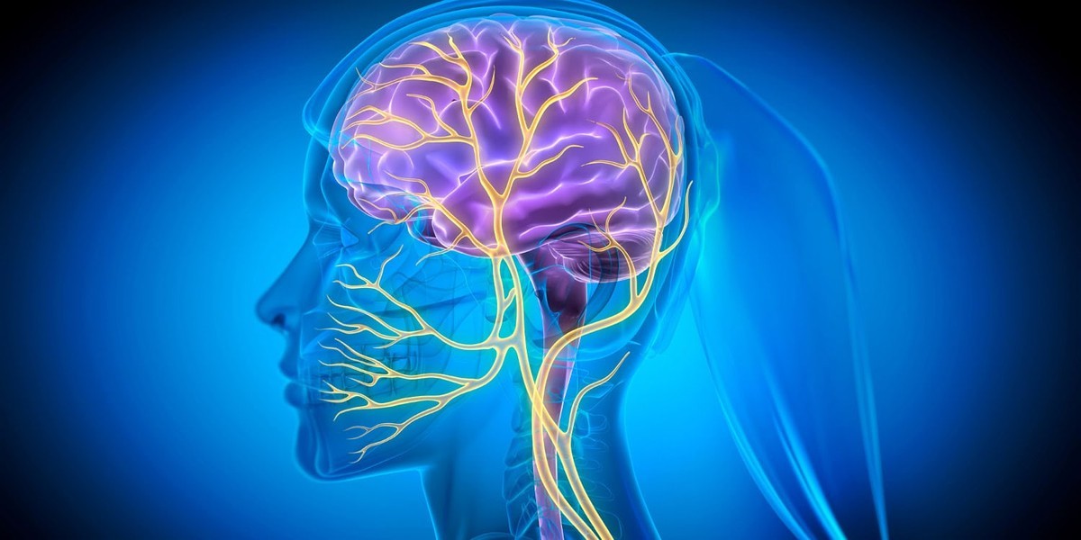 تحریک عصب واگ و آلزایمر؛ روشی نوین برای محافظت از مغز و حافظه