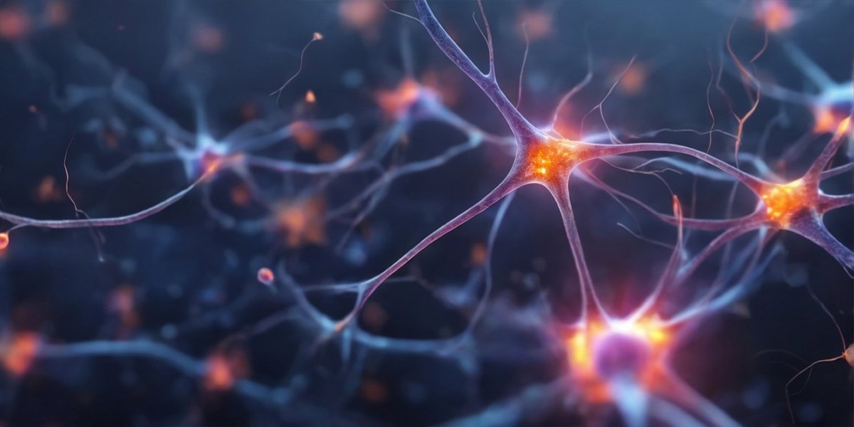 تاثیر تنهایی کودکی و اعتیاد به الکل بر ساختار مغز