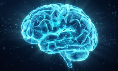 ایمپلنت های نرم مغزی؛ جایگزینی ایمن و بادوام برای تراشه های سیلیکونی